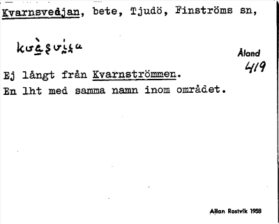 Bild på arkivkortet för arkivposten Kvarnsvedjan