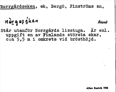Bild på arkivkortet för arkivposten Norrgårdseken
