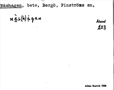 Bild på arkivkortet för arkivposten Näshagen