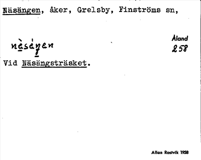 Bild på arkivkortet för arkivposten Näsängen