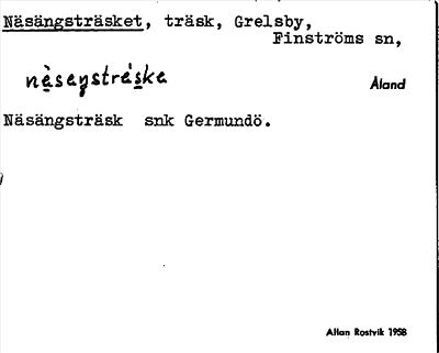 Bild på arkivkortet för arkivposten Näsängsträsket