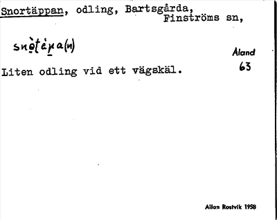 Bild på arkivkortet för arkivposten Snortäppan