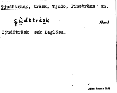 Bild på arkivkortet för arkivposten Tjudöträsk