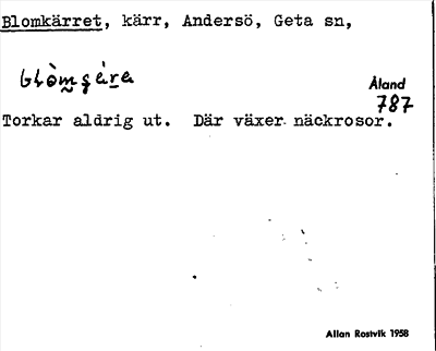 Bild på arkivkortet för arkivposten Blomkärret