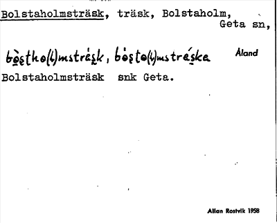 Bild på arkivkortet för arkivposten Bolstaholmsträsk