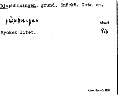 Bild på arkivkortet för arkivposten Djuphörningen