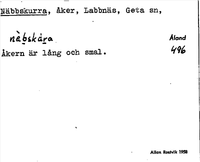 Bild på arkivkortet för arkivposten Näbbskurra