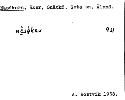 Bild på arkivkortet för arkivposten Näsåkern