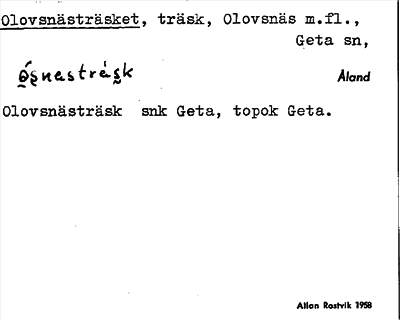 Bild på arkivkortet för arkivposten Olovsnästräsket