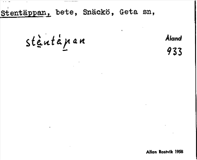 Bild på arkivkortet för arkivposten Stentäppan
