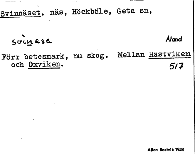 Bild på arkivkortet för arkivposten Svinnäset