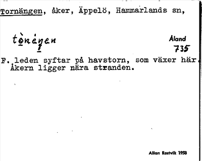Bild på arkivkortet för arkivposten Tornängen