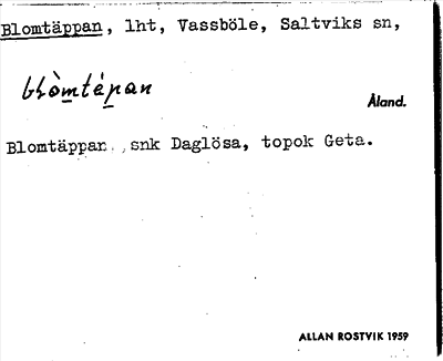 Bild på arkivkortet för arkivposten Blomtäppan