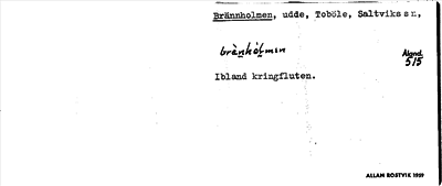 Bild på arkivkortet för arkivposten Brännholmen