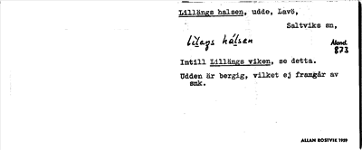 Bild på arkivkortet för arkivposten Lillängs halsen
