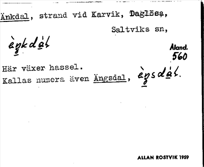 Bild på arkivkortet för arkivposten Änkdal