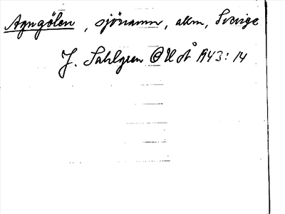 Bild på arkivkortet för arkivposten Agngölen
