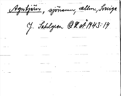 Bild på arkivkortet för arkivposten Agntjärn