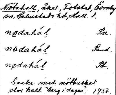 Bild på arkivkortet för arkivposten Nötahall