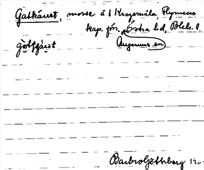 Bild på arkivkortet för arkivposten Gatkärret
