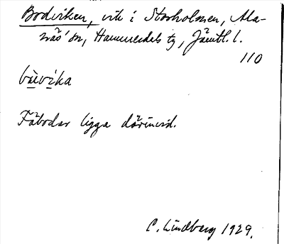 Bild på arkivkortet för arkivposten Bodviken
