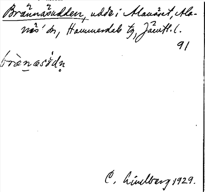 Bild på arkivkortet för arkivposten Brännäsudden