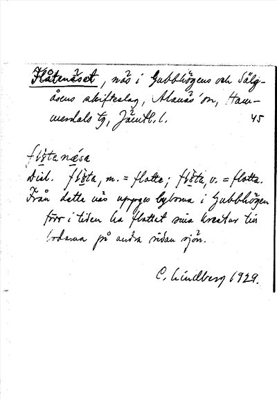 Bild på arkivkortet för arkivposten Flåtenäset