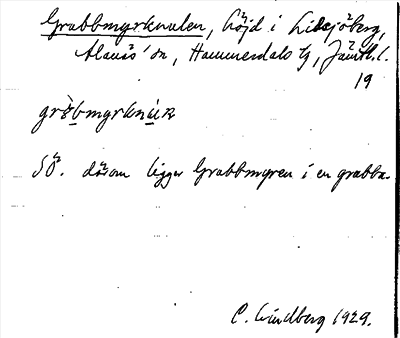 Bild på arkivkortet för arkivposten Grabbmyrknulen