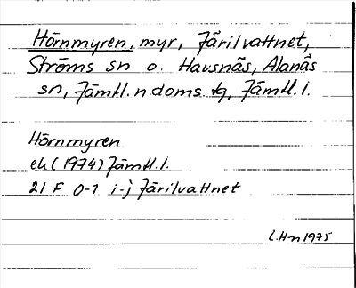 Bild på arkivkortet för arkivposten Hörnmyren