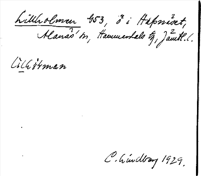 Bild på arkivkortet för arkivposten Lillholmen