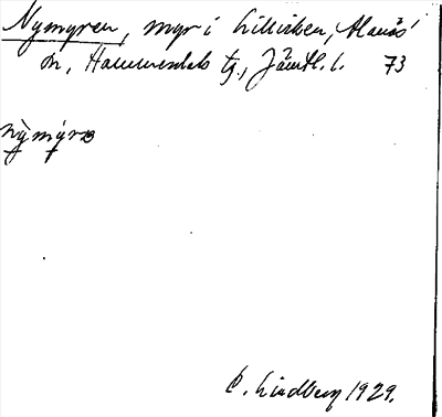 Bild på arkivkortet för arkivposten Nymyren