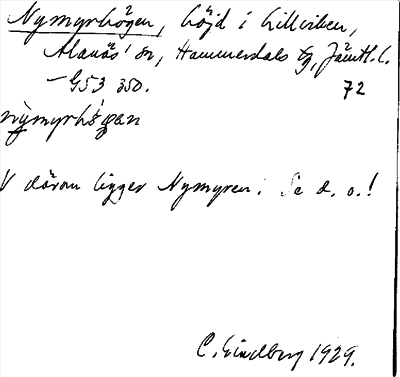 Bild på arkivkortet för arkivposten Nymyrhögen