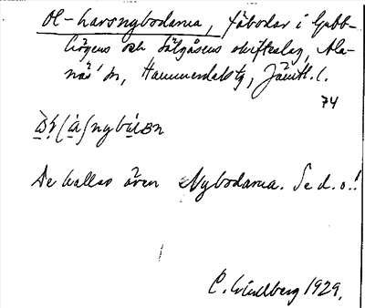 Bild på arkivkortet för arkivposten Ol-Larsnybodarna