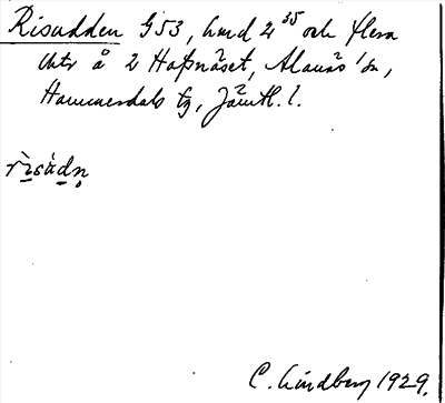 Bild på arkivkortet för arkivposten Risudden