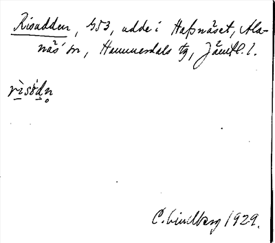 Bild på arkivkortet för arkivposten Risudden