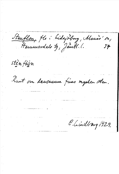 Bild på arkivkortet för arkivposten Stenflon