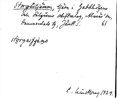 Bild på arkivkortet för arkivposten Storgåstjärnen