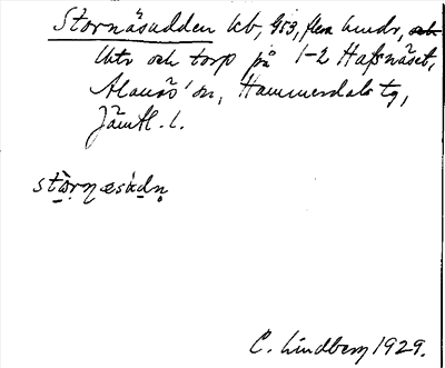 Bild på arkivkortet för arkivposten Stornäsudden