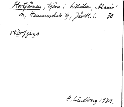 Bild på arkivkortet för arkivposten Stortjärnen