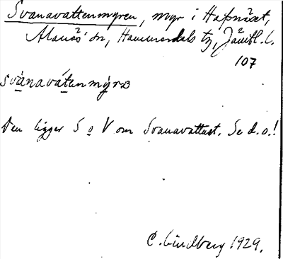 Bild på arkivkortet för arkivposten Svanavattenmyren