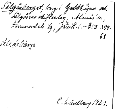 Bild på arkivkortet för arkivposten Sälgåsberget