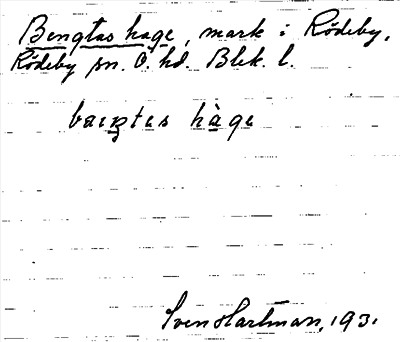 Bild på arkivkortet för arkivposten Bengtas hage