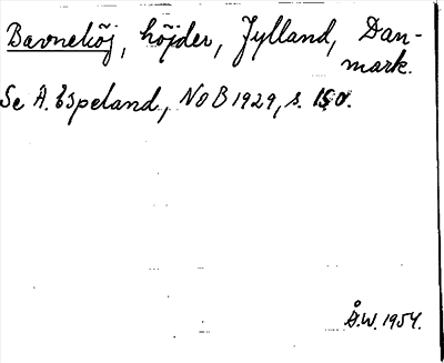 Bild på arkivkortet för arkivposten Bavnehöj