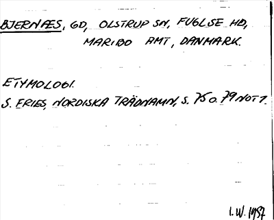 Bild på arkivkortet för arkivposten Bjernæs