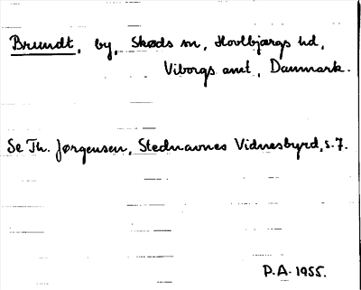 Bild på arkivkortet för arkivposten Brundt