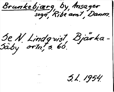 Bild på arkivkortet för arkivposten Brunkebjærg