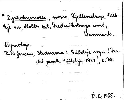 Bild på arkivkortet för arkivposten Dyrholmsmæse