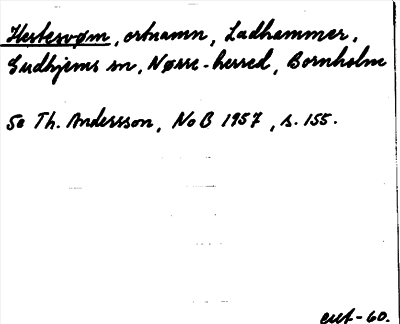 Bild på arkivkortet för arkivposten Hestesvøm