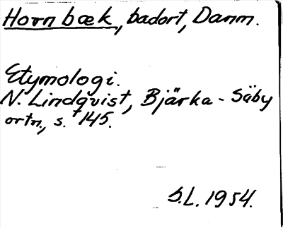 Bild på arkivkortet för arkivposten Hornbæk