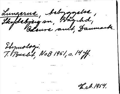 Bild på arkivkortet för arkivposten Lungerne